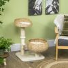 Beige 28" Cat Tree with Scratching Post Tower Double Beds for Cats Furniture Tree Scratcher Cat Tower Beige
