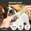 Super Chewer Tough Dog Chew Toys for Aggressive Chewers, Dental Stimulating (Antler - Large)