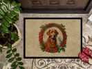 Chesapeake Bay Retriever Christmas Flowers Doormat Front Door Mat Indoor Outdoor Rugs for Entryway, Non Slip Washable Low Pile, 24H X 36W