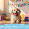 Puppy Teething Toys for Small Medium Dogs - Durable Dog Chew Toys for Puppies, Rubber Puppy Toy to Keep Busy